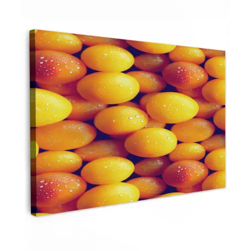 Vrucht - Waterdruppels - Oranje Tuinposter op houten frame 2 cm dik klein 845 -3d