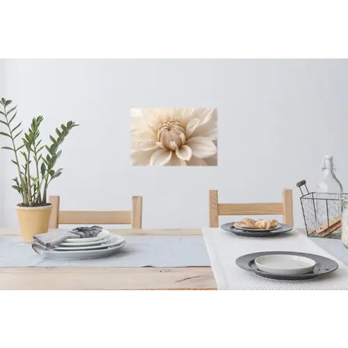 Bloem - Dahlia - Wit Muursticker klein -eettafel