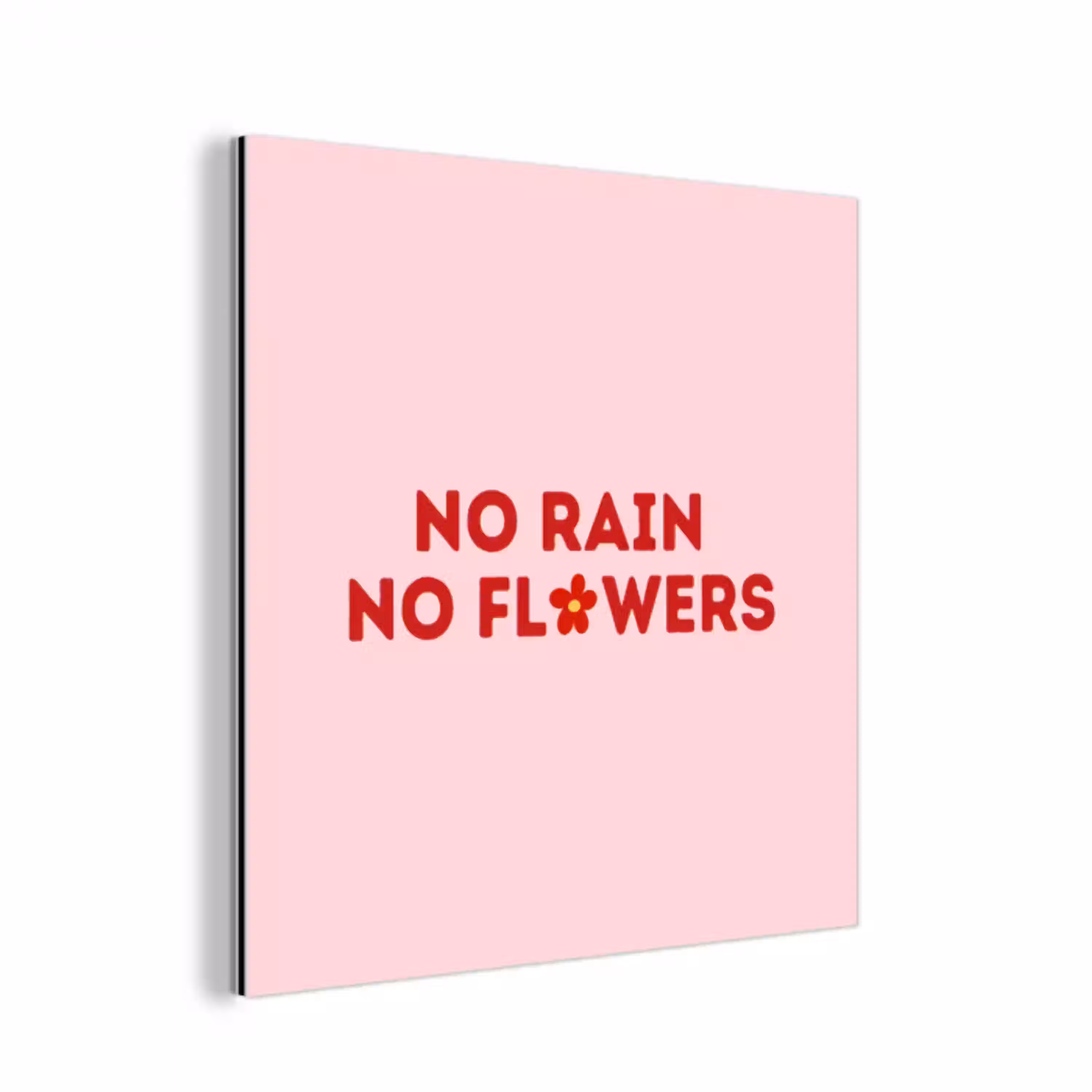 No rain no flowers - Minimalistisch - Roze - Bloem aluminium wit klein -3d
