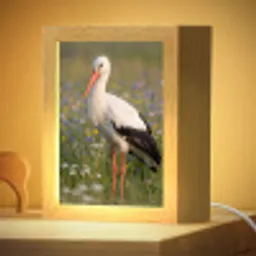 Ooienvaar - Bloemen - Weide - Kleurrijk Light Box met kabel (Kinderlampje) klein -zzzz_3d_website