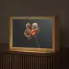 Orchidee - Doorzichtig - Bloem Light Box met kabel (Tafellamp) klein -z3d_website