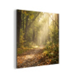 Zonlicht - Bospad - Bomen aluminium wit klein -3d