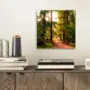 Bos - Pad - Bomen - Groen - Zon - Natuur aluminium wit klein -sfeer1