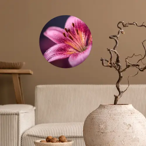 Roze - lelie - Dauwdruppels Wandcirkel behangsticker klein -sfeer1