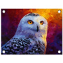Sneeuwuil - Schilderij - Kleurrijk - Wit tuinposter los doek klein -3d
