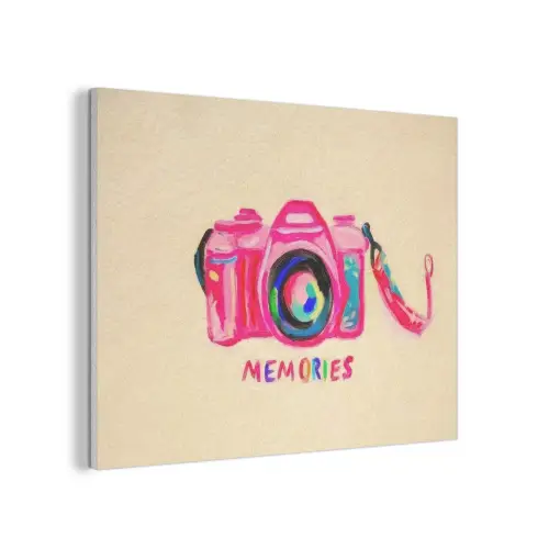 Camera - Memories - Roze - Geschilderd PET vilt klein -3d