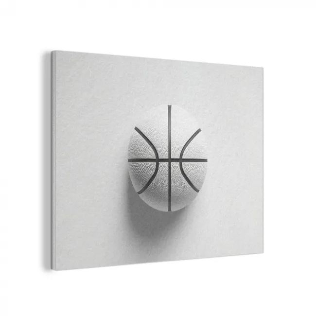 Basketbal - Wit - Schaduw - Lijnen PET vilt klein -3d
