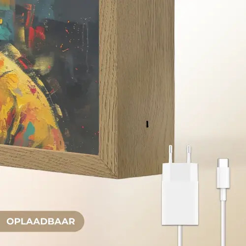 Graffiti - Panda - Jas - Kleurrijk - Street art Light Box met batterij (Wandlamp) middel -USP_websiteoplaadbaarNL