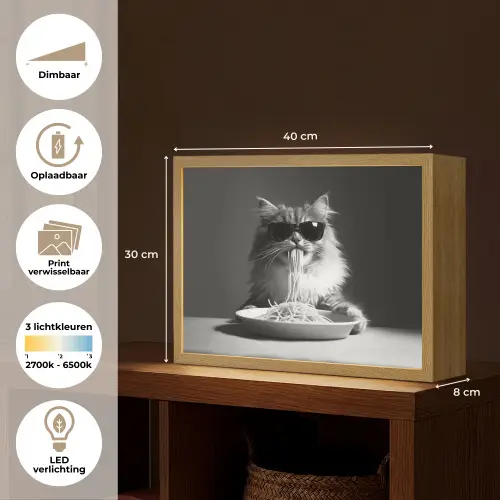 Langharige kat - Zonnebril - Spaghetti - Humor - Zwart - wit Light Box met batterij (Wandlamp) middel -USP_websiteoverzichtNL