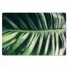 Inductie beschermer - Bananenblad - Tropisch - Jungle - Bladeren Placemat vinyl groot -zzsfeer1_Kitchenyeah-website
