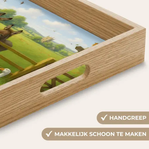 Ezels - Ganzen - Kleurrijk Dienblad Rechthoek middel -USP_HandgreepNL