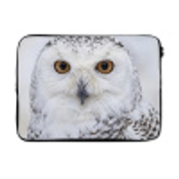 Sneeuwuil - Oog - Wildlife - Wit laptophoes neopreen klein -3d