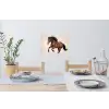 Paard - Galop - Energie Muursticker klein -eettafel