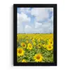 Zonnebloemen - Bloemen - Wolken - Natuur - Geel - Landschap fotolijst zwart zonder passe partout klein -3d