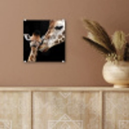 Giraffe - Dieren - Zwart - Portret - Dieren plexiglas 5mm klein -sfeer5