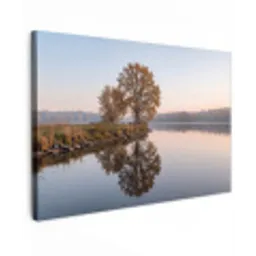 Bomen - Reflectie - Water - Zonsopgang - Serene canvas 2cm klein -z3d