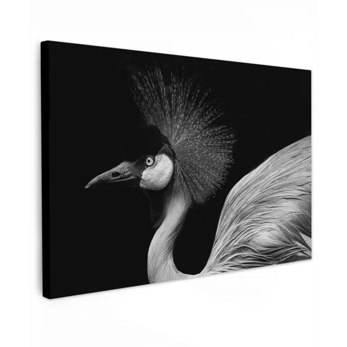 Kraanvogel - Zwart - Wit - Vogel - Dieren canvas 2cm klein -z3d