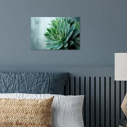 Vetplant - Bladeren - Groen - Wazig poster papier klein -sfeer2