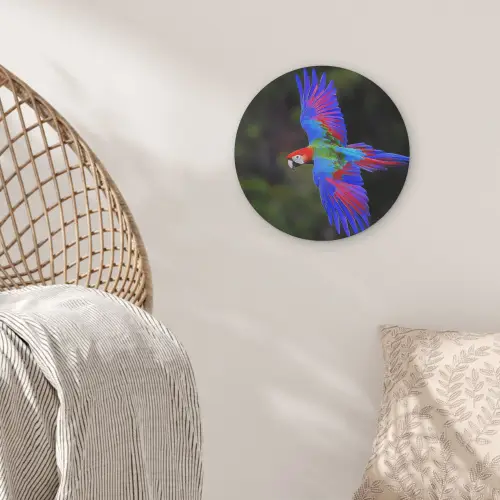 Felgekleurd - Papegaai - Bos - Vleugels Akoestische PET Vilt - Rond klein -sfeer4