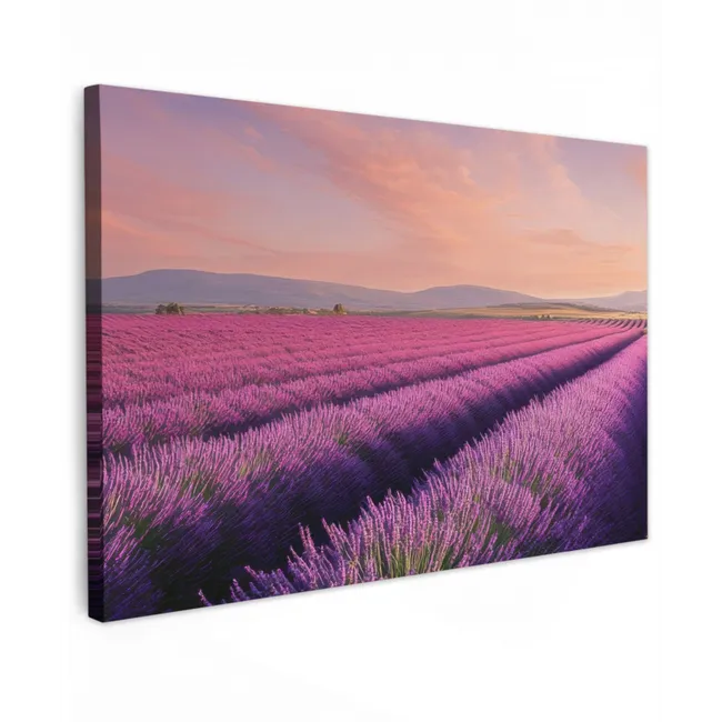 Lavendelveld - Zonsondergang - Paars - Bloemen canvas 2cm klein -z3d