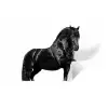 Fries - Hengst - Modern Muursticker klein -3d