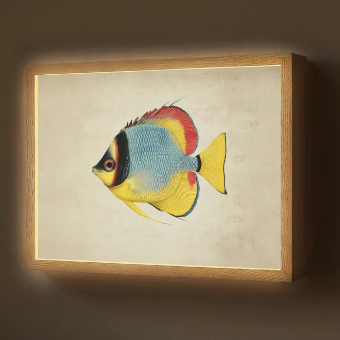 Kleurrijk - Vis - Schubben - Illustratie Light Box met batterij (Wandlamp) middel -z3d_website