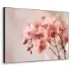 Orchidee - Bloemen - Roze - Bloemblaadjes Textielframe zwart klein -3d