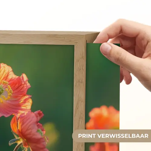 Bloemenveld - Zonnestralen - Oranje Light Box met batterij (Wandlamp) middel -USP_websiteprintNL