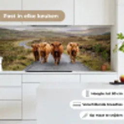 Schotse Hooglanders - Weg - Landschap - Kudde keuken achterwand 2 middel -sfeer4_NL