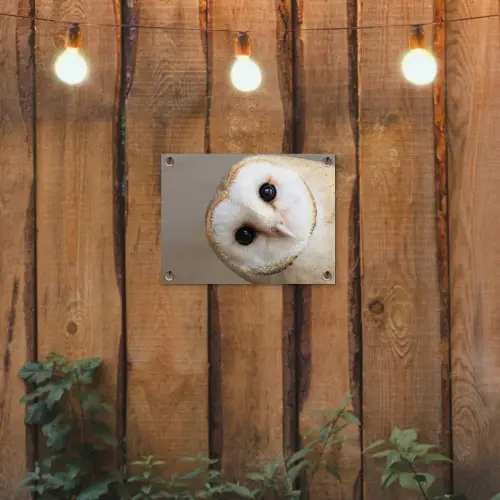 Uil - Bruin - Wit tuinposter los doek klein -sfeer1