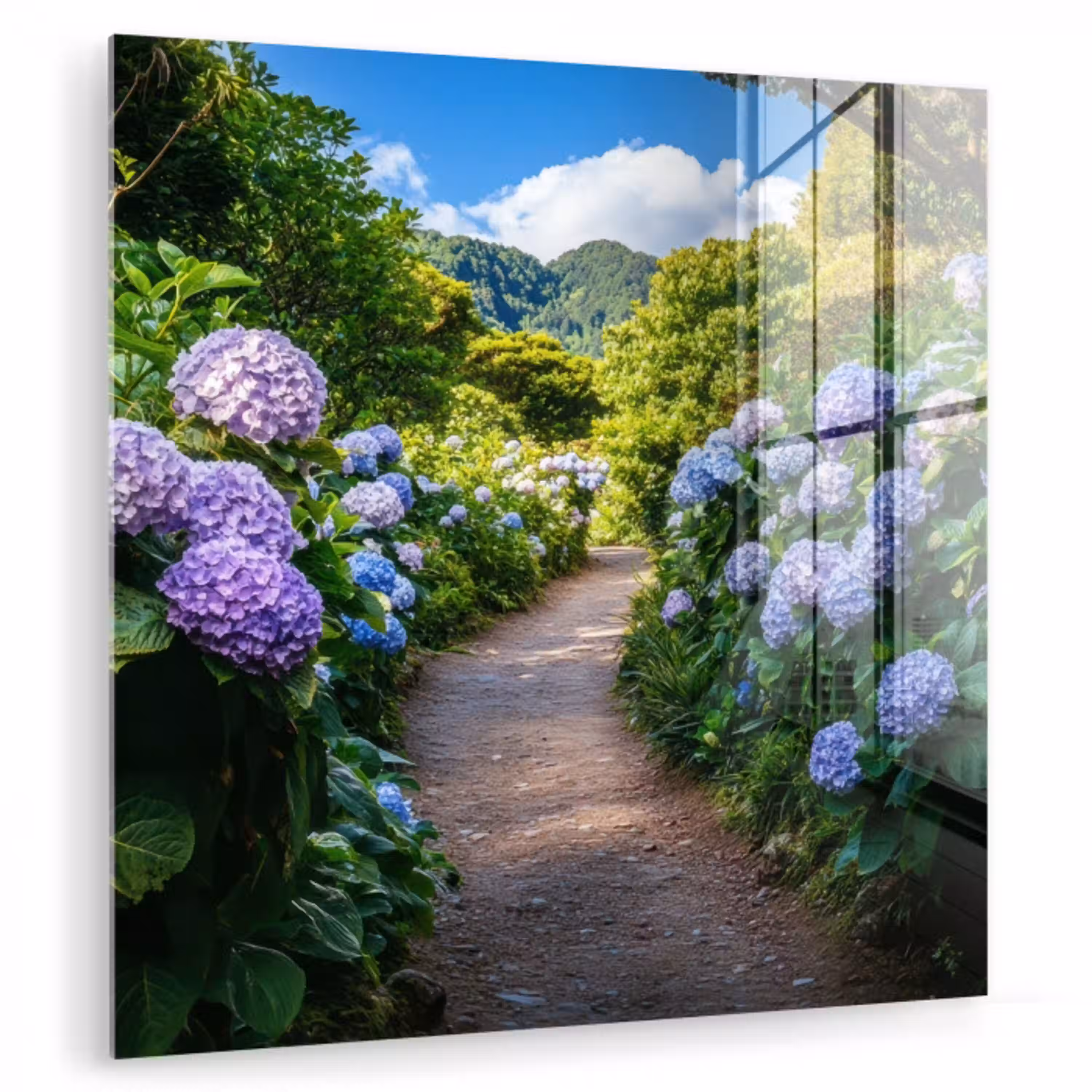 Hortsensia - Pad - Bloemen plexiglas 5mm klein -zzzproduct_nieuw