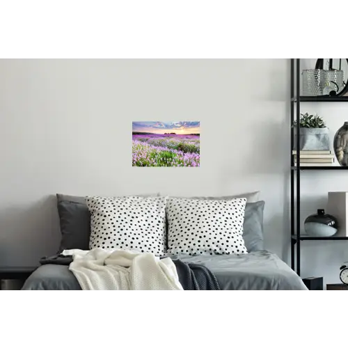 Lavendel - Bloemen - Zonsondergang - Paars - Weide Muursticker klein -slaapkamer