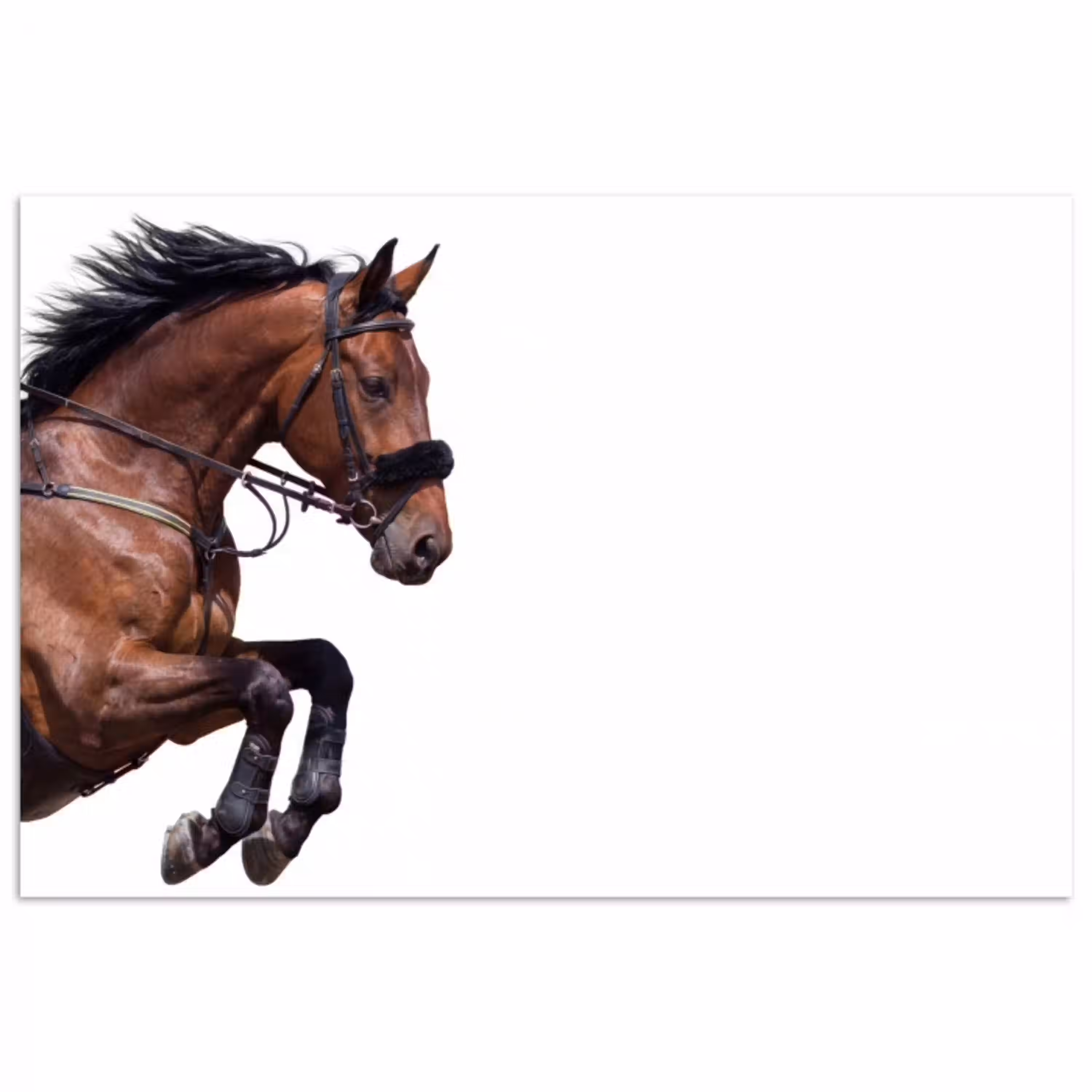 Paard - Springen - Modern poster papier klein -3d