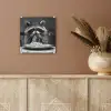 Wasbeer - Cute - Pasta - Tafelkleed - Zwart - Wit plexiglas 5mm klein -sfeer5