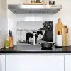 Vrouw - Paard - Artistiek Inductie beschemer met haakjes klein -sfeer2