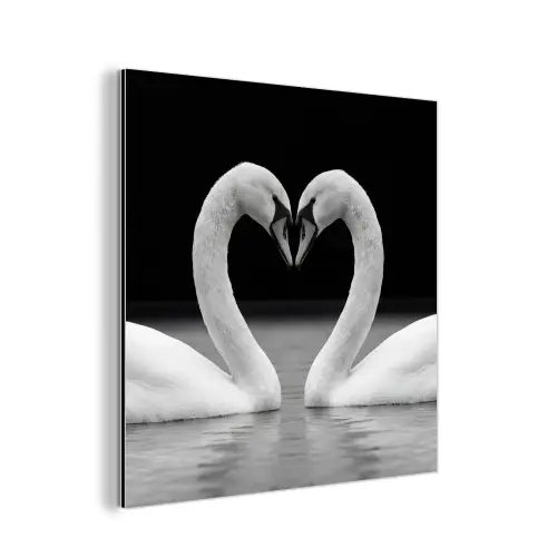 Zwanen - Hart - Zwart - Wit aluminium wit klein -3d