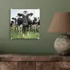 Koeien - Gras - Lente - Dieren - Weiland - Boerderij plexiglas 5mm klein -sfeer3