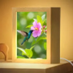 Kolibrie - Bloem - Natuur - Groen Light Box met kabel (Kinderlampje) klein -zzzz_3d_website