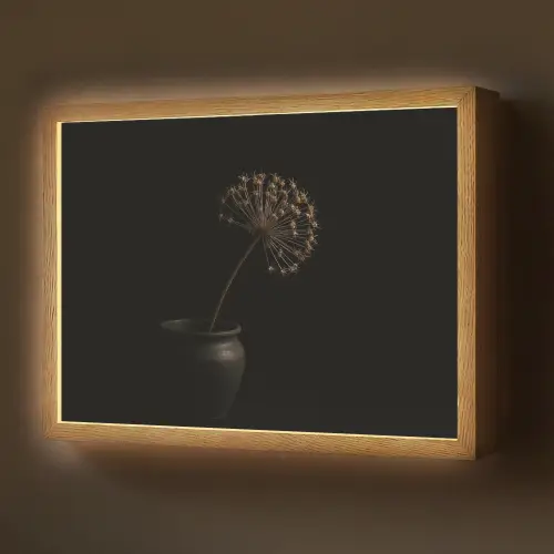 Bol - Gedroogd - Vaas - Zwart Light Box met batterij (Wandlamp) middel -z3d_website