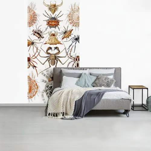 Retro - Ernst Haeckel - Insecten - Tuinposter - Tuin fotobehang vinyl groot -slaapkamer