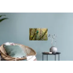 Quetzal - Jungle - Natuur - Groen Muursticker klein -plant