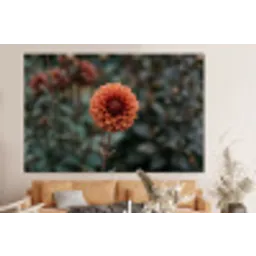 Dahlia - Bloem - Natuur - Sfeervol forex 5mm xxl -bovenbank