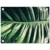 Bladeren - Tropisch - Jungle tuinposter los doek klein -3d