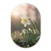 Narcis - Bloem - Minimalistisch Wandcirkel Ovaal Forex klein -3d