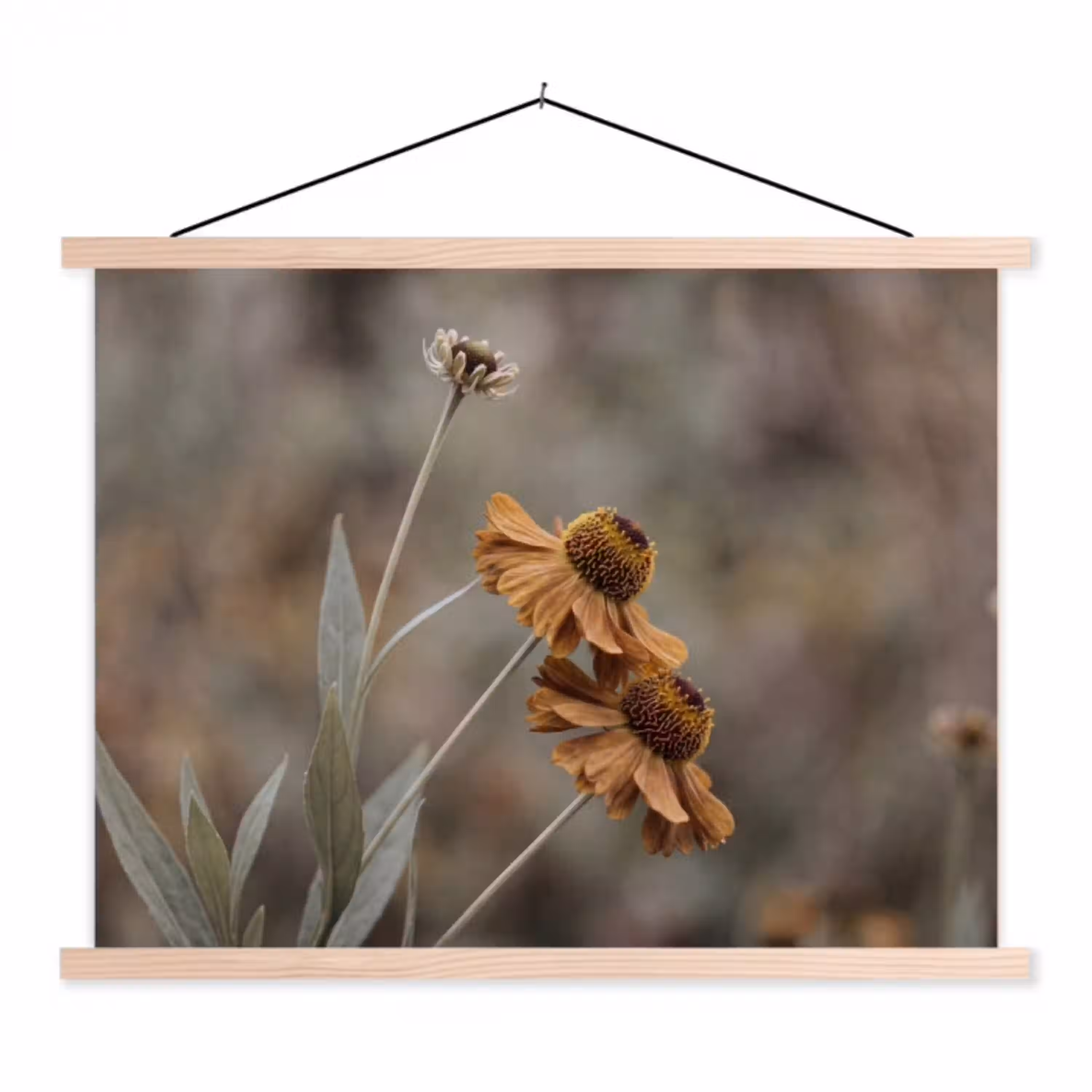Zonnehoed - Droogbloemen - Geel - Warm textielposter latten blank klein -3d