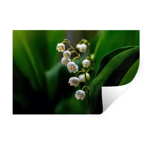 Bloemen - Wit - Bladeren - Lelietjes Muursticker klein -3d