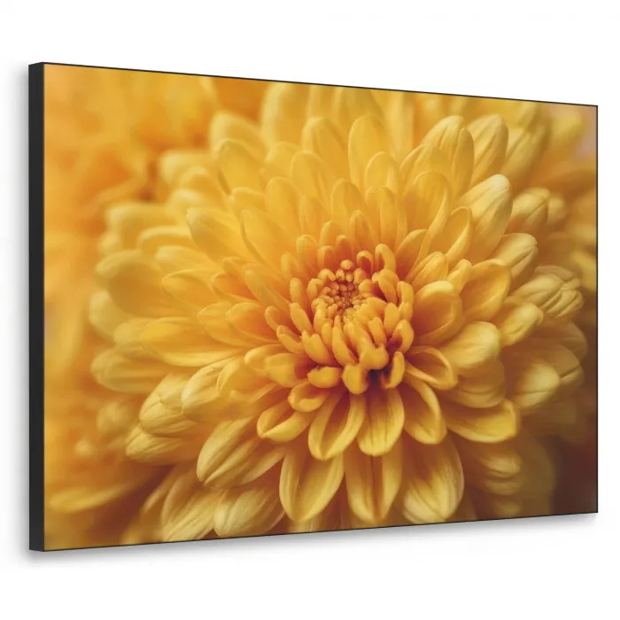 Geel - Chrysant - Zachtheid Textielframe - compleet frame klein -3d