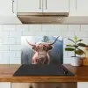 Schotse hooglander - Koe - Dieren - Berg - Natuur keuken achterwand spatscherm klein -sfeer2