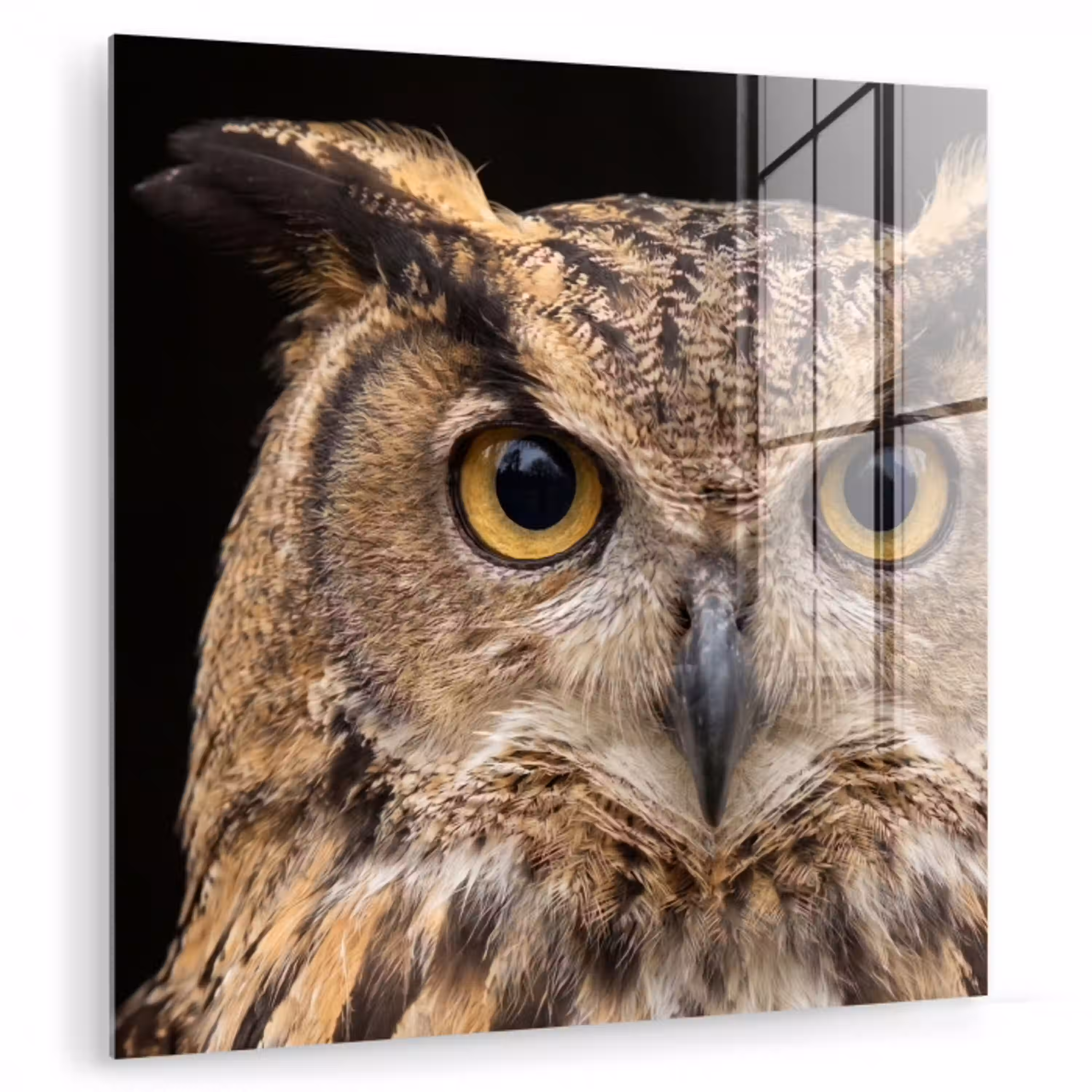 Oehoe - Uil - Portret - Bruin plexiglas 5mm klein -zzzproduct_nieuw