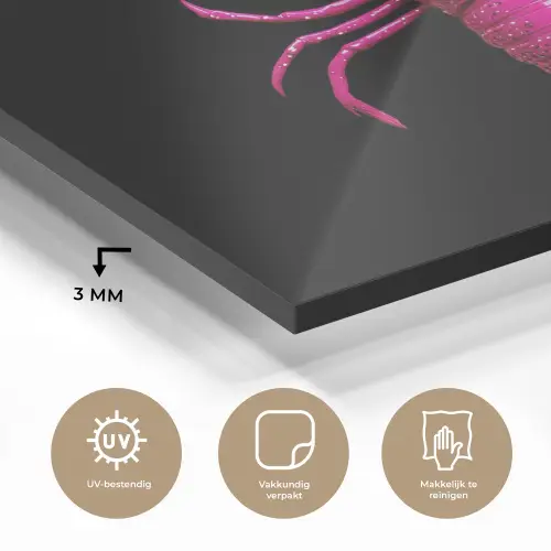 Kreeft - Felroze - Stippen - Opvallend plexiglas 5mm klein -sfeer2